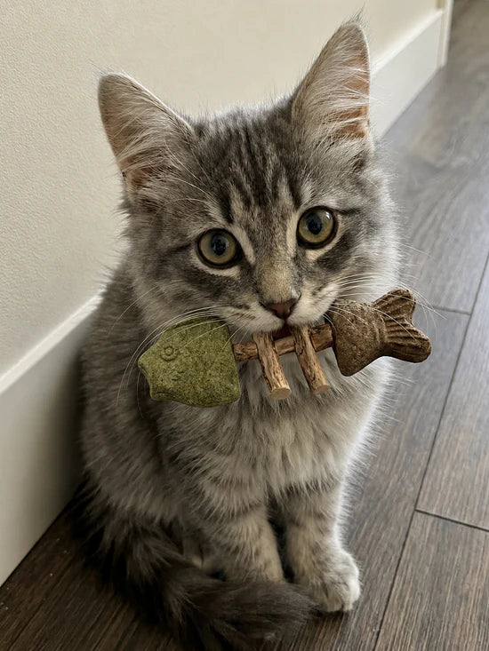 PurrJoy – Kattenkruid en Silver Vine Kauwstokjes