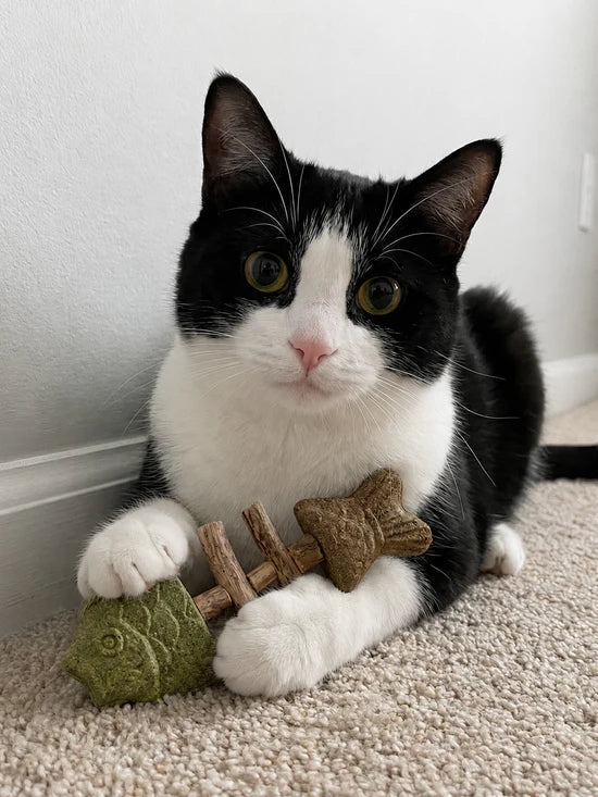 PurrJoy – Kattenkruid en Silver Vine Kauwstokjes