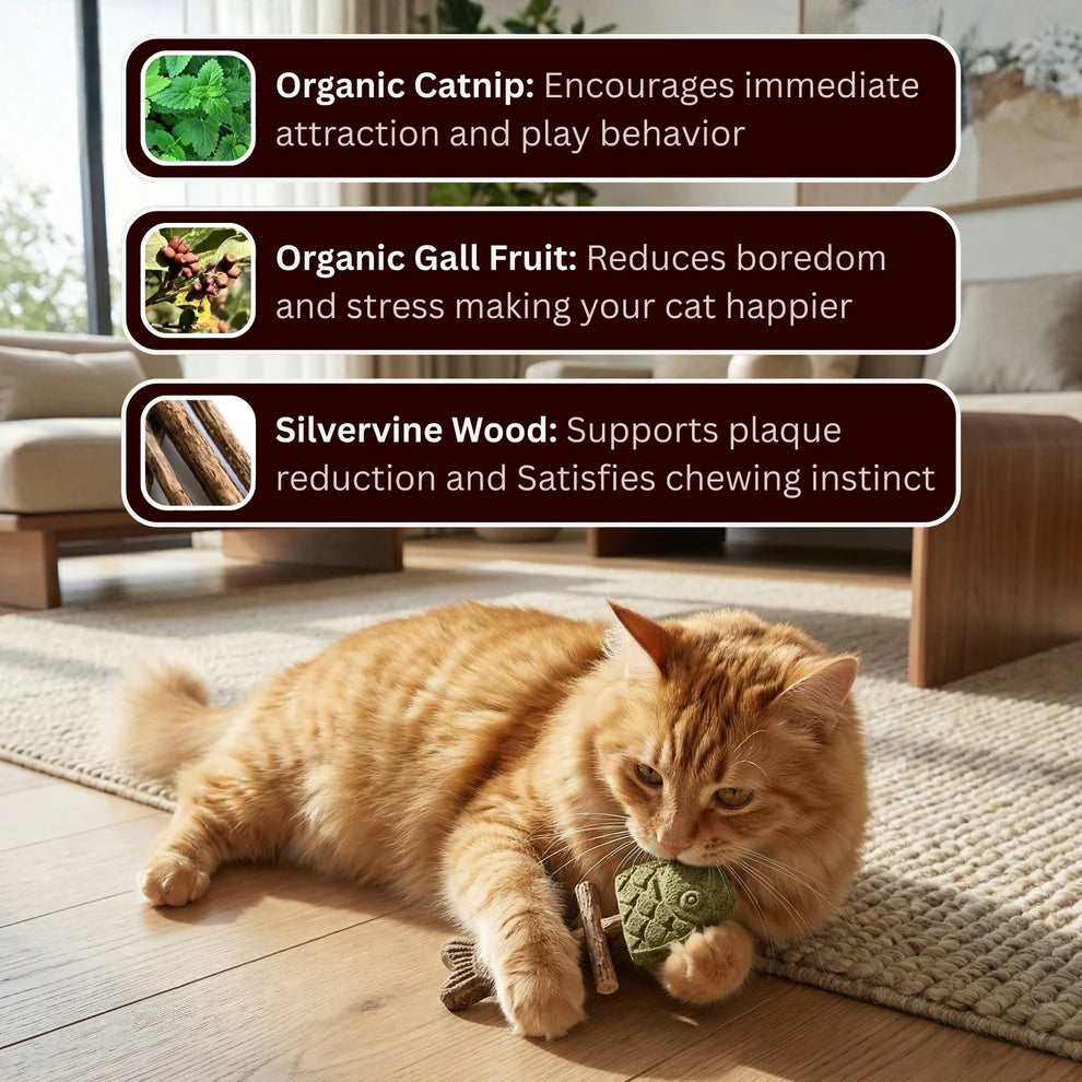 PurrJoy – Kattenkruid en Silver Vine Kauwstokjes