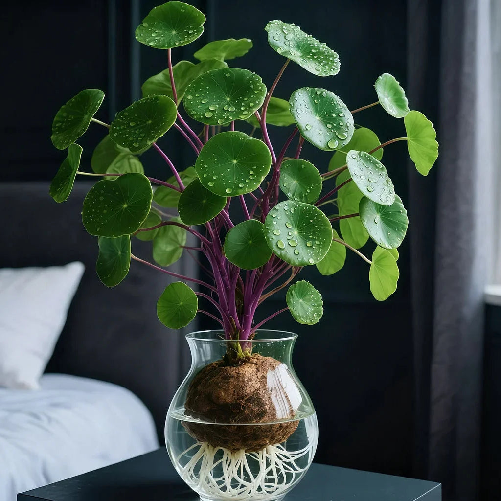 UrbanLeaf – Stijlvolle Kamerplant met Weinig Onderhoud